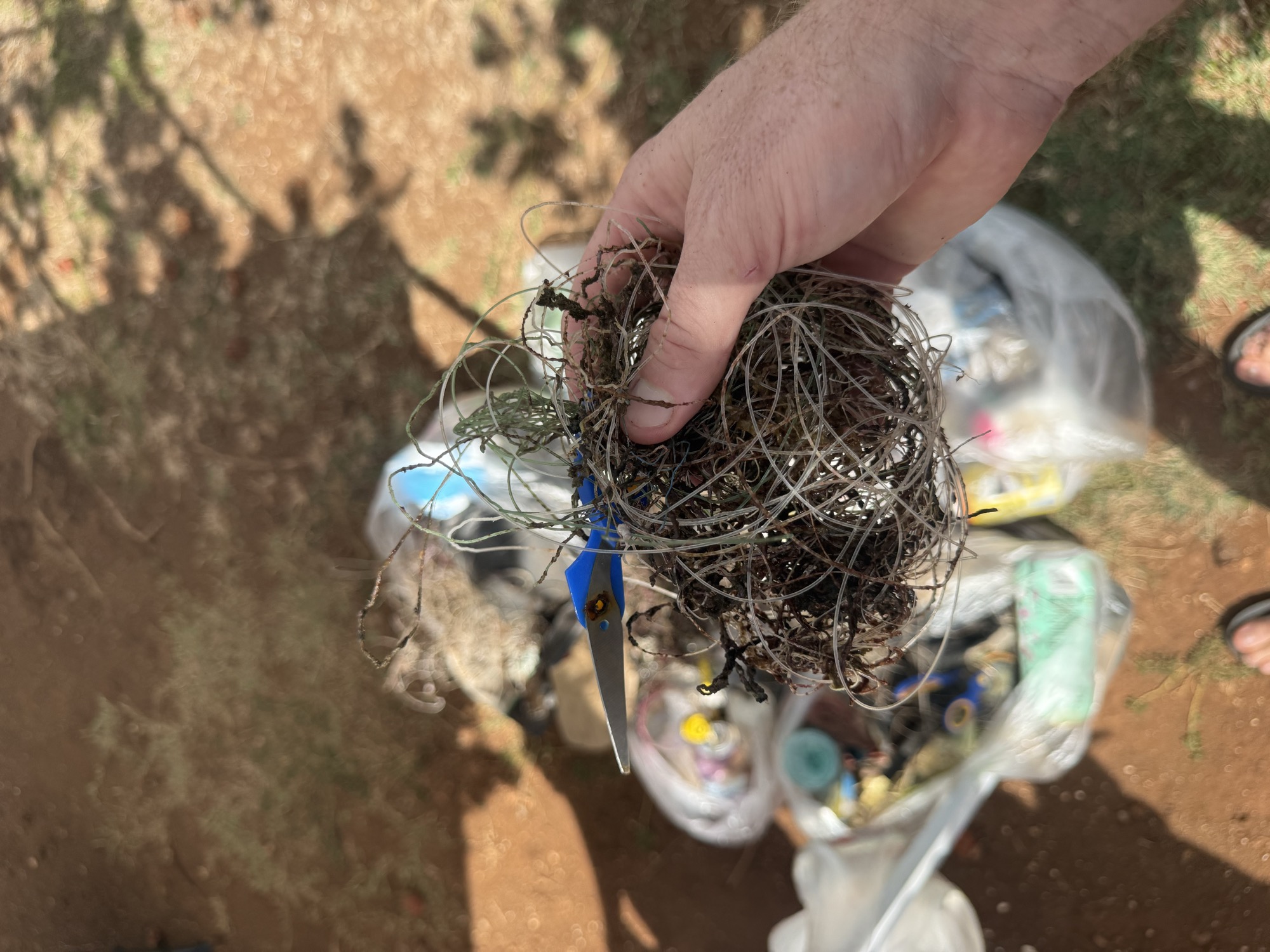 Fishing line and debris pulled from the water