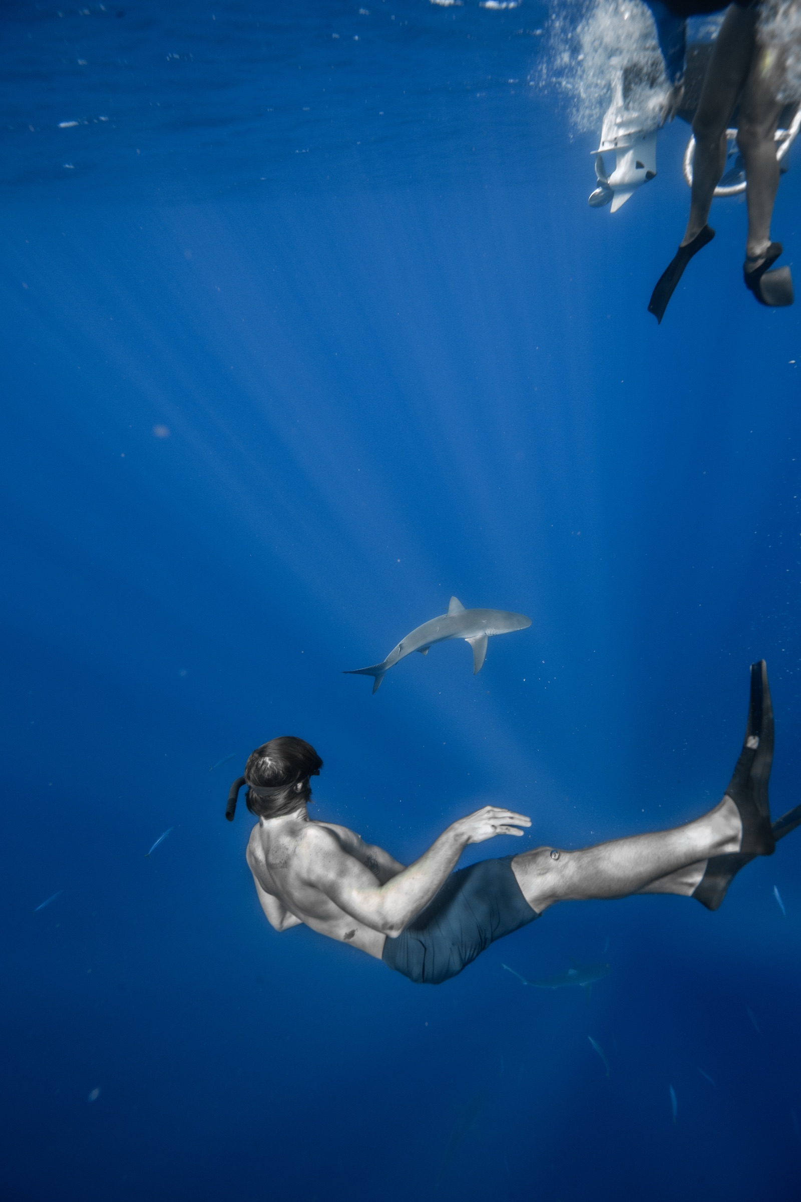 Freediving with a shark in the god rays off the North Shore of Oʻahu
